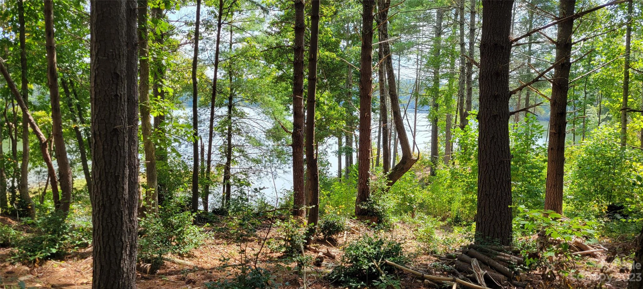 Scenic 240 Ln Unit 240  