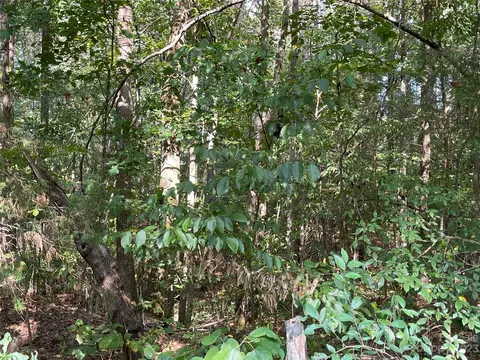 00 Knot Ln, Lancaster, SC 29720 photo 7