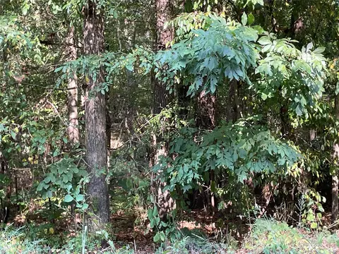 00 Knot Ln, Lancaster, SC 29720 photo 6