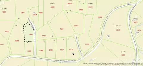 Song Sparrow Drive, Marion, NC 28752