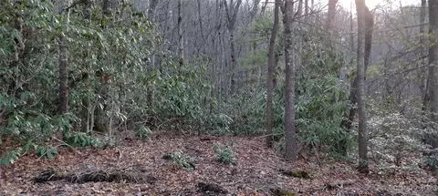 000 Laurel Mountain View Rd, Flat Rock, NC 28731