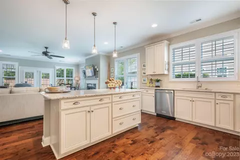 11617 Mount Argus Dr, Cornelius, NC 28031 photo 13