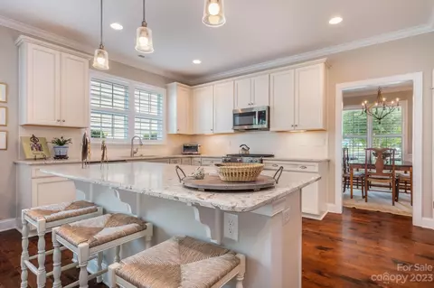 11617 Mount Argus Dr, Cornelius, NC 28031 photo 11