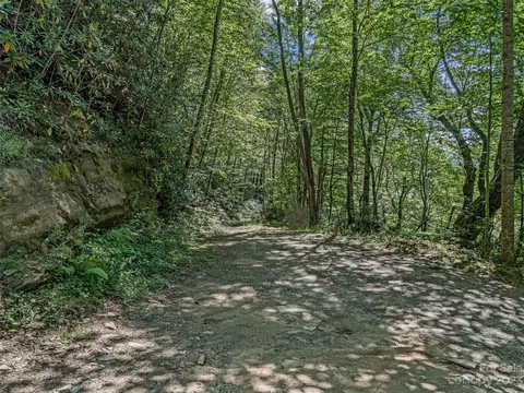 000 Cubs Lots Dr #LOT S, Burnsville, NC 28714