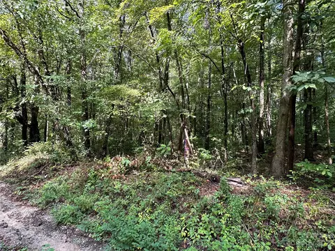 001 Ander Vincent Rd, Lancaster, SC 29720 photo 2