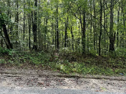 001 Ander Vincent Rd, Lancaster, SC 29720 photo 3