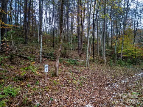 64 Cherry Cove 8 Way #8, Old Fort, NC 28762