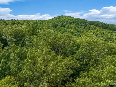 1830 Reasonover Rd, Cedar Mountain, NC 28718 photo 38