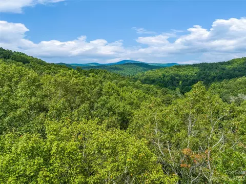 1830 Reasonover Rd, Cedar Mountain, NC 28718 photo 37