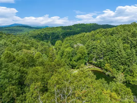 1830 Reasonover Rd, Cedar Mountain, NC 28718 photo 39