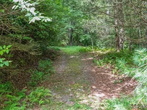 1830 Reasonover Rd, Cedar Mountain, NC 28718 photo 30