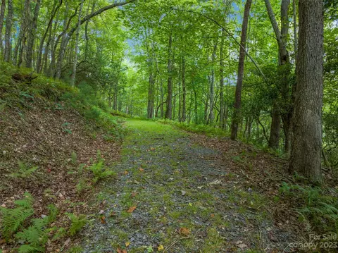 1830 Reasonover Rd, Cedar Mountain, NC 28718 photo 36