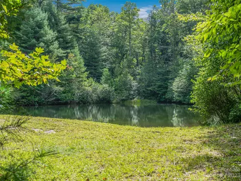1830 Reasonover Rd, Cedar Mountain, NC 28718 photo 29