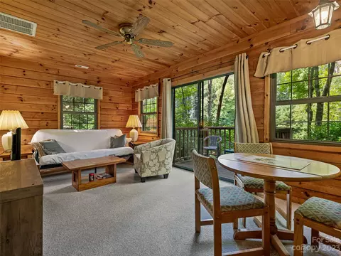 1830 Reasonover Rd, Cedar Mountain, NC 28718 photo 25