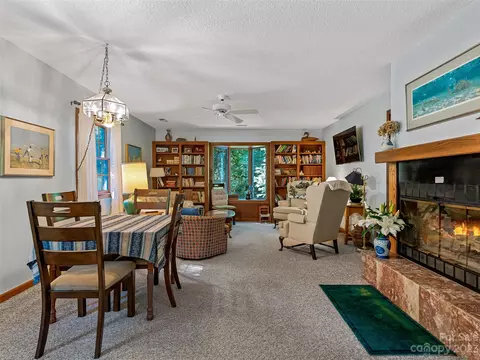 1830 Reasonover Rd, Cedar Mountain, NC 28718 photo 10