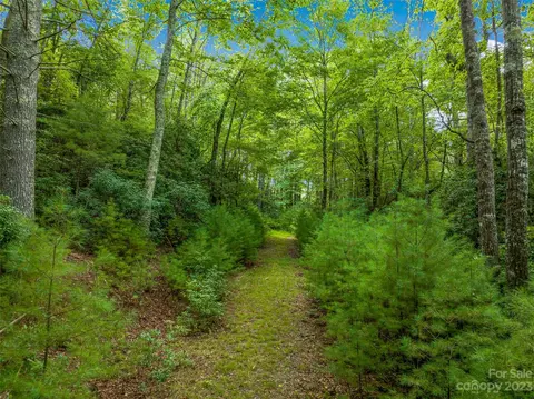 1830 Reasonover Rd, Cedar Mountain, NC 28718 photo 5
