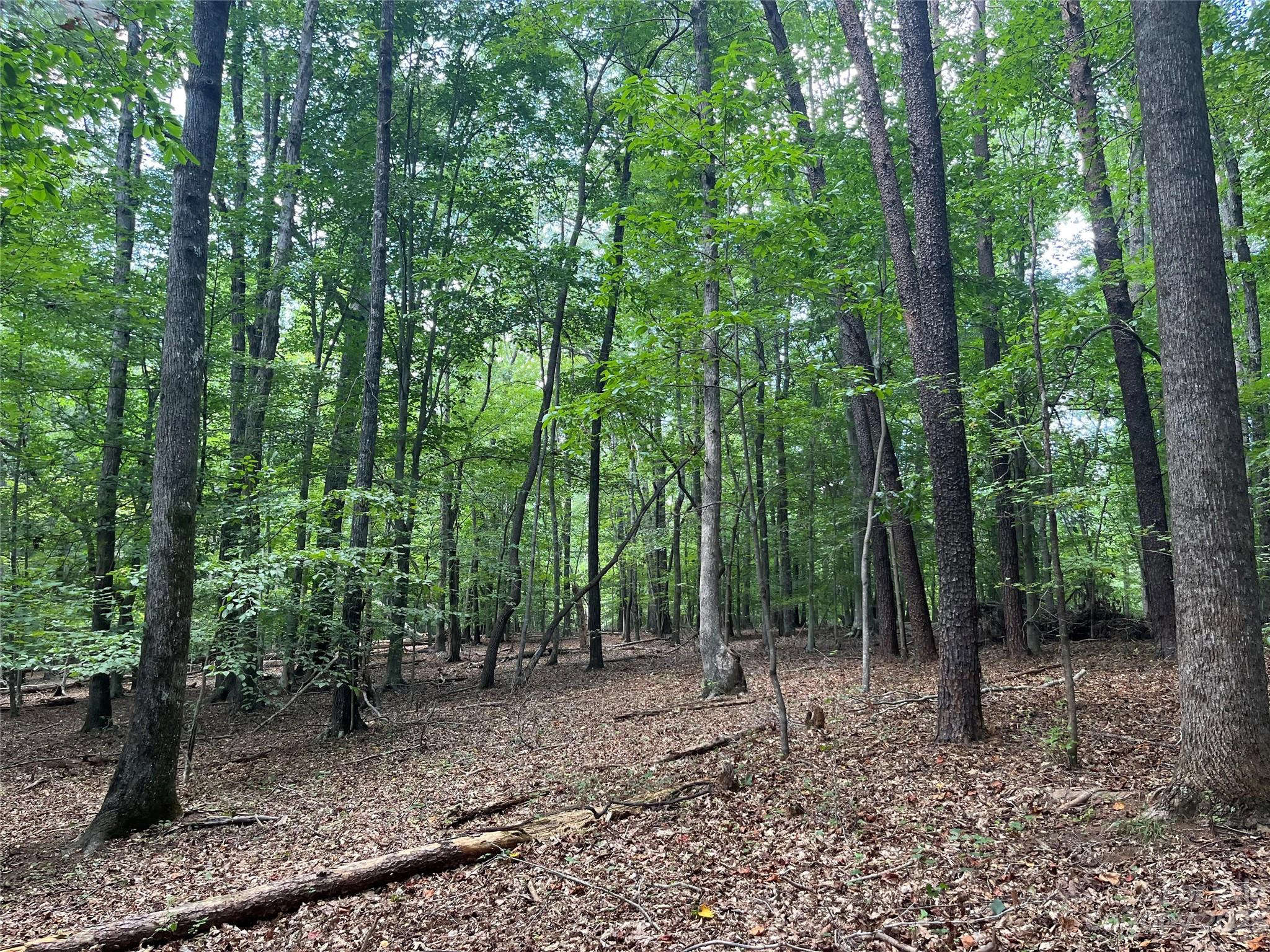 9 Fox Mountain Rd Unit 9  