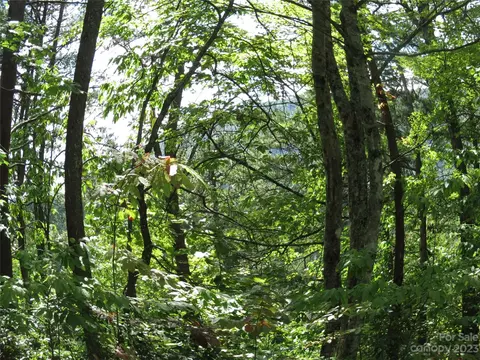 Roundabout Road, Lake Lure, NC 28746