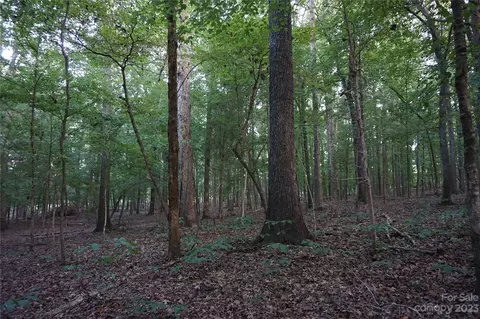 Fishing Creek Church Road, Chester, SC 29706