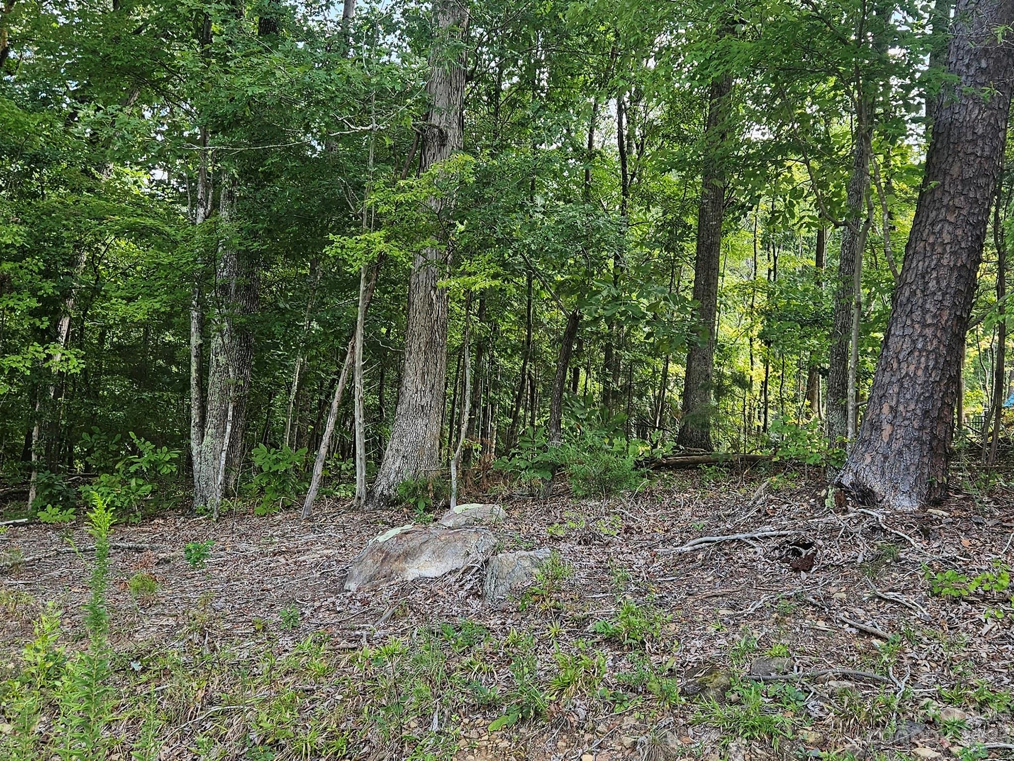 10916 Rise 6 Ln Unit 6