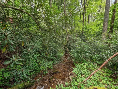 48 Viola Loop, Maggie Valley, NC 28751 photo 19