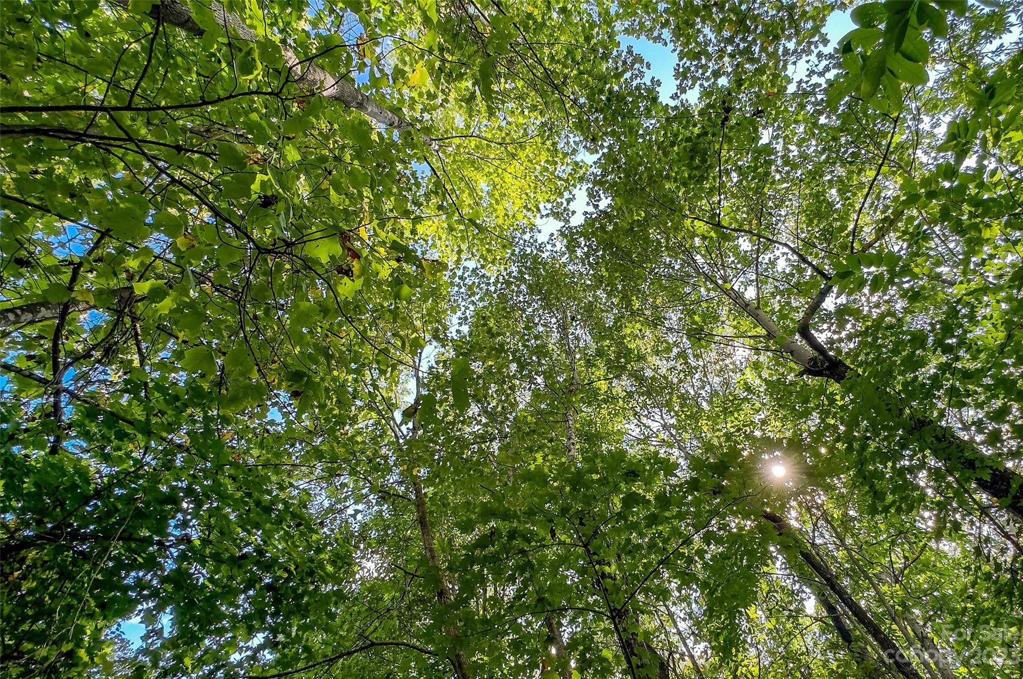 0000 Arcadia Falls 122 A Way Unit 122 A  