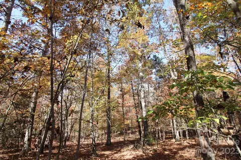 196 Lucas Rd, Star, NC 27356 photo 23