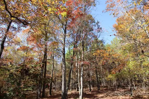 196 Lucas Rd, Star, NC 27356 photo 21