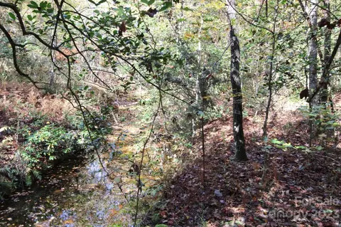 196 Lucas Rd, Star, NC 27356 photo 25