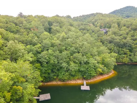 Trout Lily Lane, Tuckasegee, NC 28783