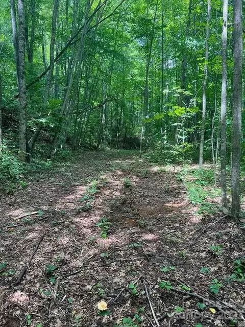 0 Hutchinson Rd, Sylva, NC 28779