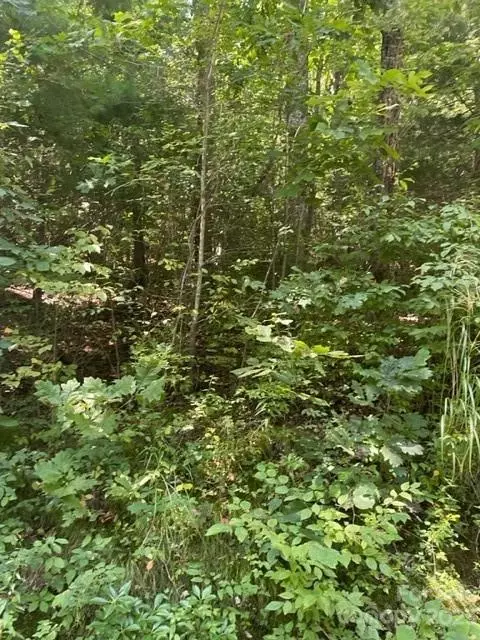0 Pace Mountain Rd, Saluda, NC 28773 photo 5