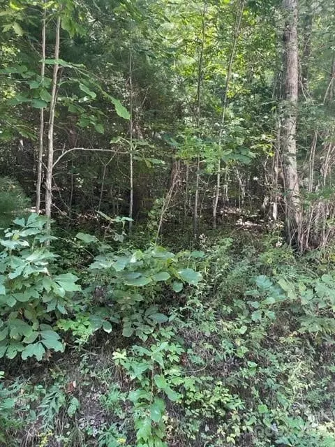 0 Pace Mountain Rd, Saluda, NC 28773 photo 6
