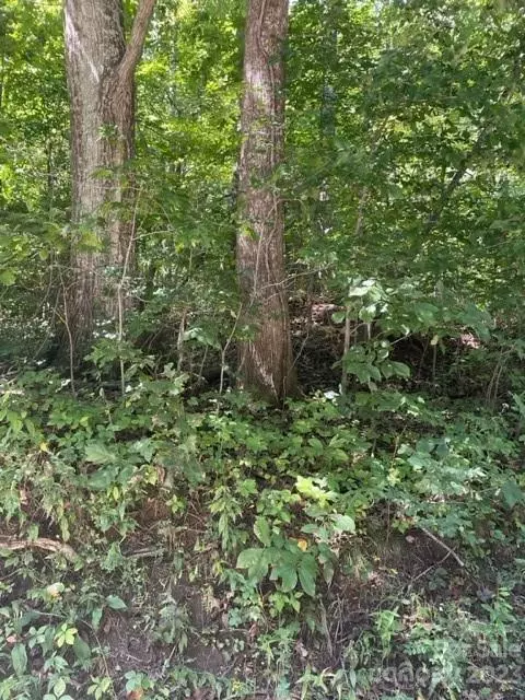 0 Pace Mountain Rd, Saluda, NC 28773