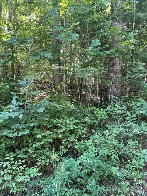 0 Pace Mountain Rd, Saluda, NC 28773 photo 3