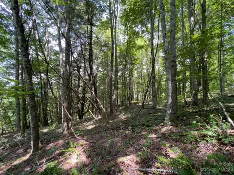 00 Grapevine Cv, Clyde, NC 28721 photo 5