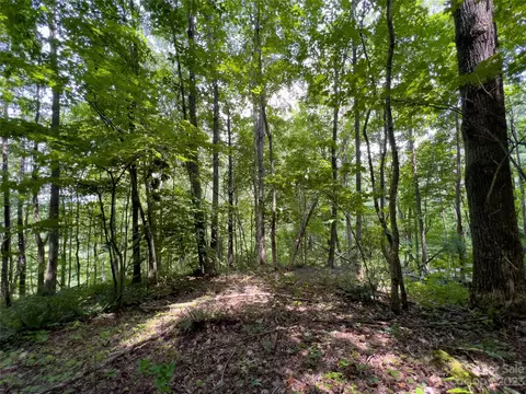 00 Grapevine Cv, Clyde, NC 28721 photo 7