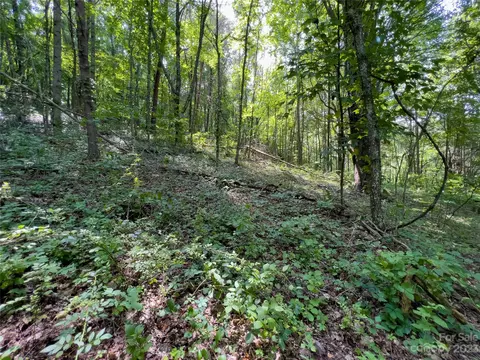 00 Grapevine Cv, Clyde, NC 28721 photo 8