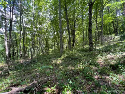 00 Grapevine Cv, Clyde, NC 28721 photo 6