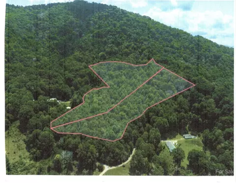 00 Grapevine Cv, Clyde, NC 28721 photo 9