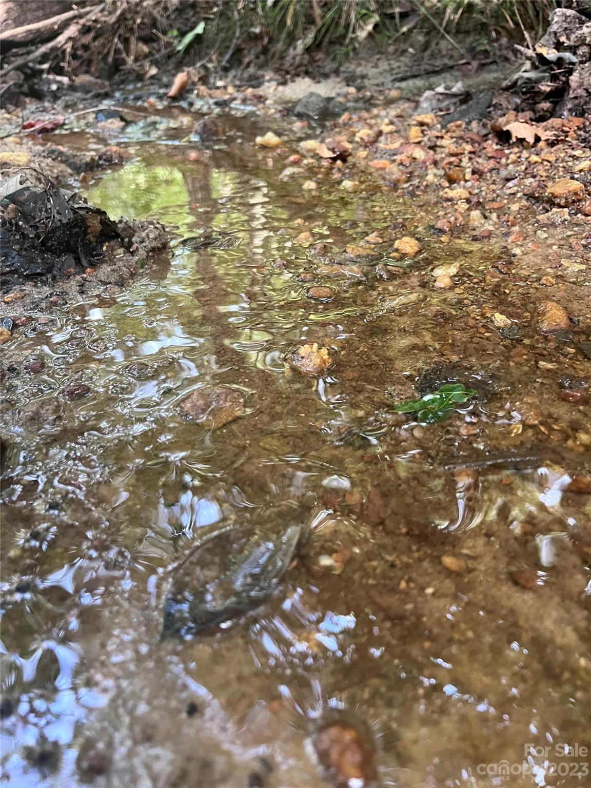 0 Shady Bark 40 Ln Unit 40  