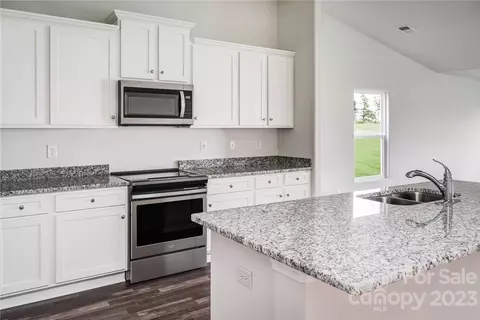 165 Brixham Loop, Troutman, NC 28166 photo 2