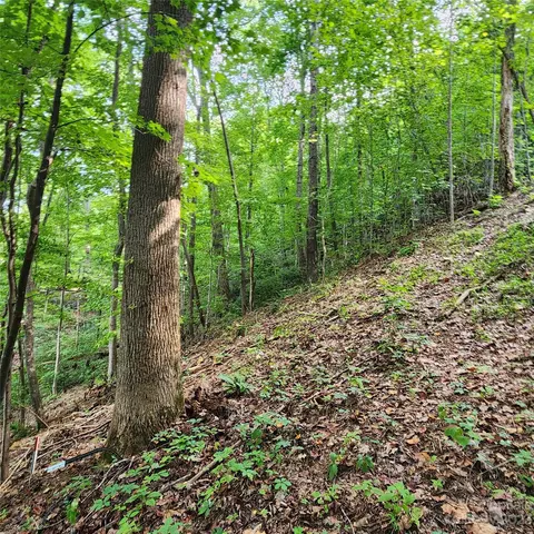 Switchback Road, Lake Lure, NC 28746