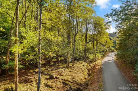 110 Gaither Ray Dr, Mars Hill, NC 28754