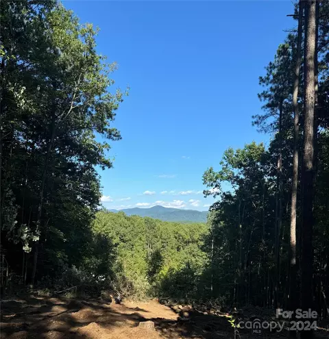 67 Dunn 9 Trl #9, Nebo, NC 28761
