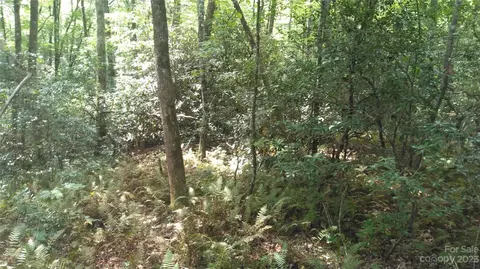 Chandler Drive, Old Fort, NC 28762