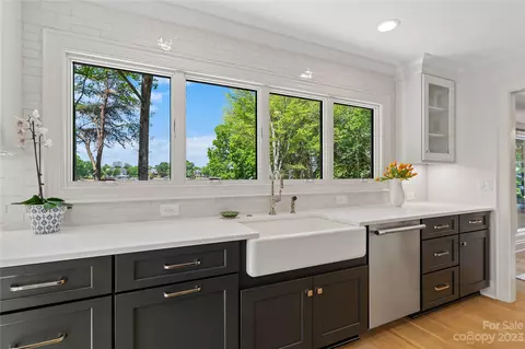 20701 Pointe Regatta Dr, Cornelius, NC 28031 photo 20