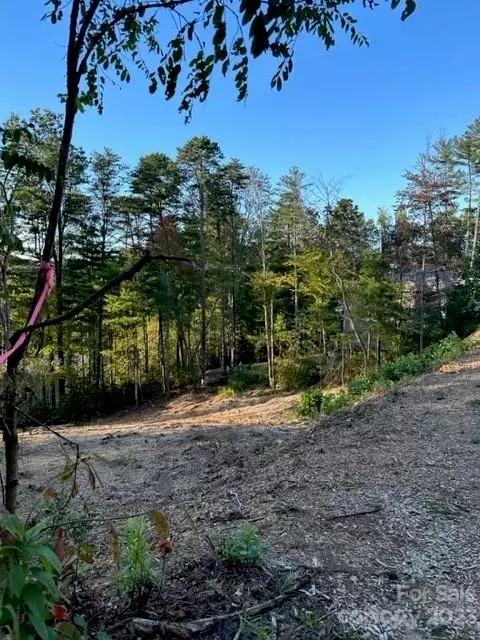 70 Crossings Cir, Fairview, NC 28730