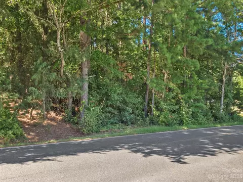 0000 Green Peach Rd, Lancaster, SC 29720 photo 3