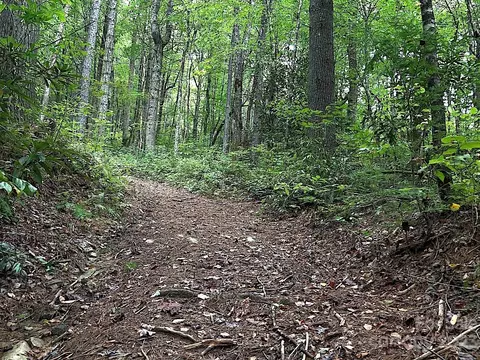109 Bothy Rd, Brevard, NC 28712 photo 11